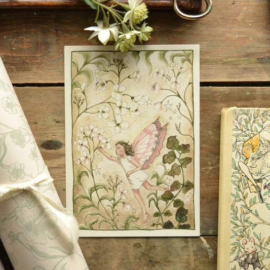 Cuckoo Flower Fairy Children's Art Print