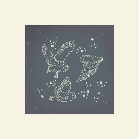 Night Owls Children's Art Print